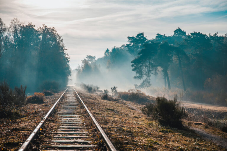 Gleise im Nebel